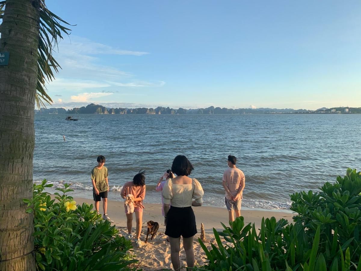 Tulip Homestay ハロン エクステリア 写真